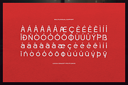 Fingard | Display Sans Serif, a Sans Serif Font by gracetype_studio (Thumbnail 12 of 12)