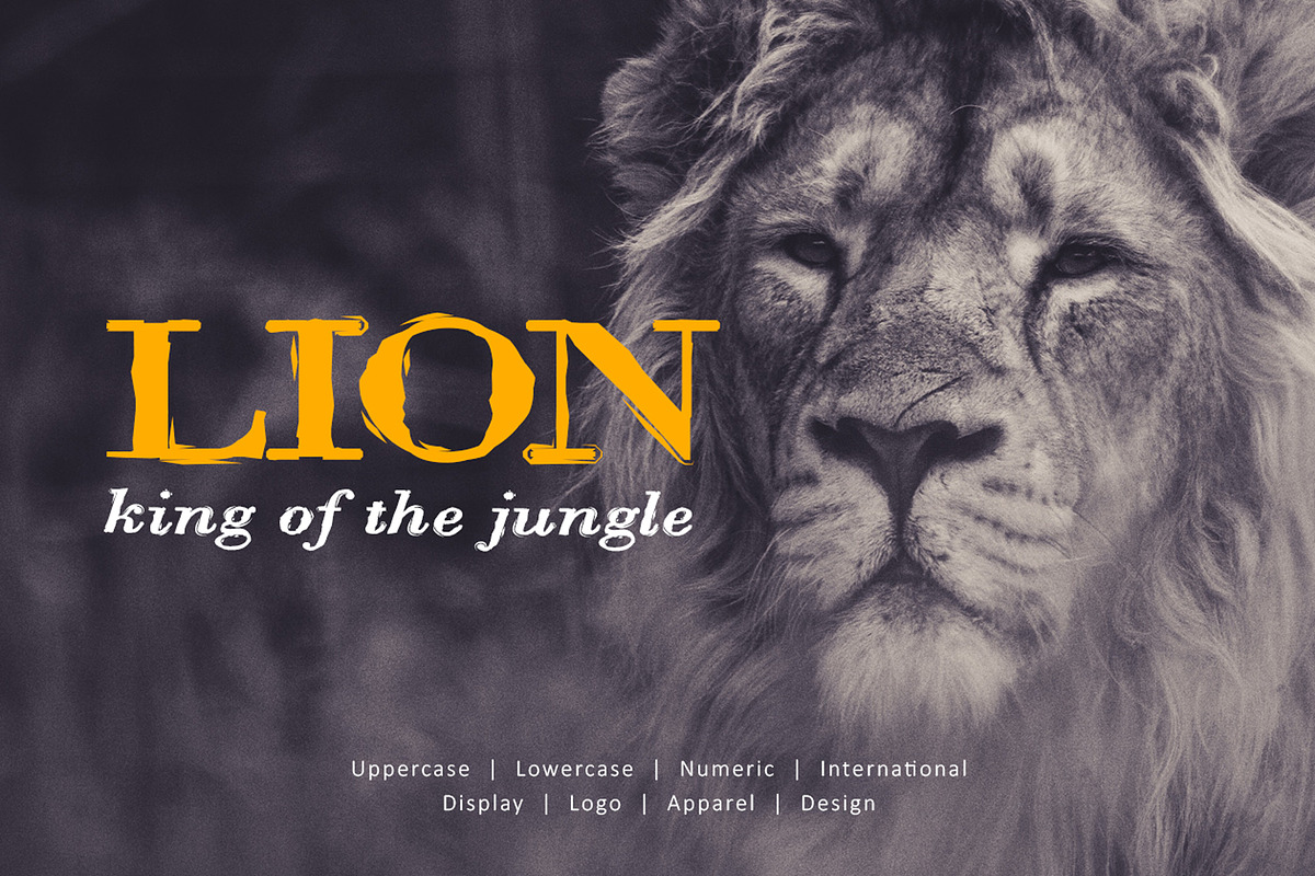 Warrior Life Font, a Serif Font by yantodesign (Photo 2 of 7)