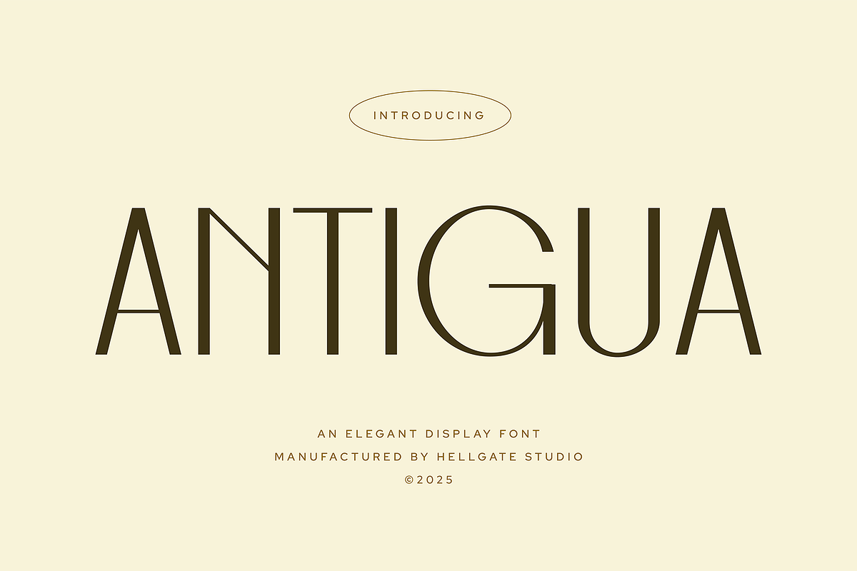 Antigua Elegant Font, a Sans Serif Font by GRVS Studio (Photo 1 of 4)