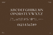 Satoru Elegant Serif Font, a Serif Font by Perfectype (Thumbnail 6 of 6)