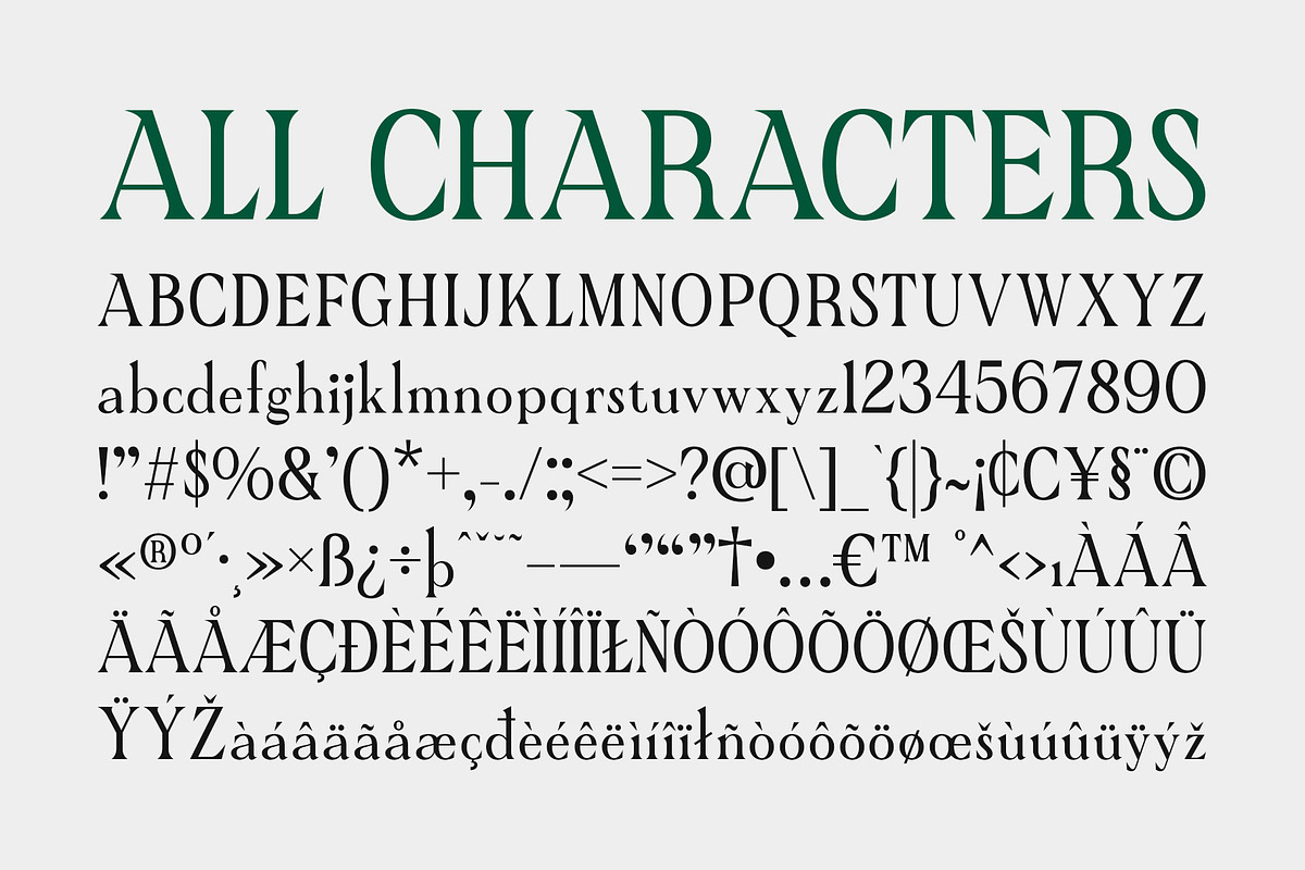 CS Chizue – Condensed Font, a Serif Font by Craft Supply Co. (Photo 8 of 8)