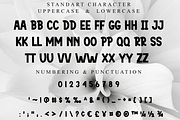 Bright, a Script Font by FreshTypeINK (Thumbnail 6 of 6)