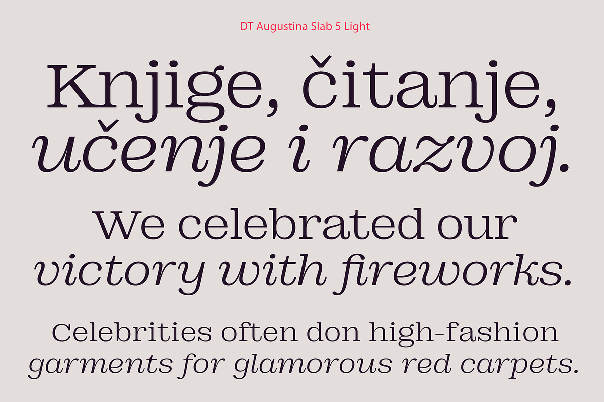 DT Augustina Slab 5 Subfamily, a Slab Serif Font by Deveze Type Foundry (Photo 5 of 31)