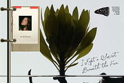 Botanical & Nature Collage Kit, an Object Graphic by Purple (Thumbnail 2 of 11)