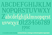 Screwby Condensed Family, a Serif Font by Pink Broccoli (Thumbnail 3 of 3)