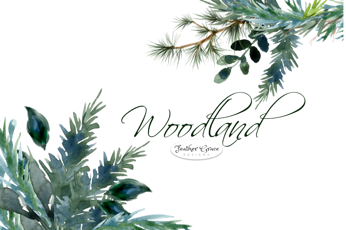 Watercolor Leaves & Greenery, an Illustration by Feather Grace Designs (Photo 12 of 12)