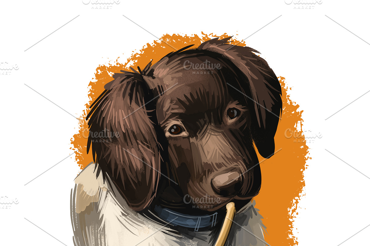 Most Popular Dog Breeds Pet Portrait, an Animal Illustration by Dneprstock (Photo 20 of 23)