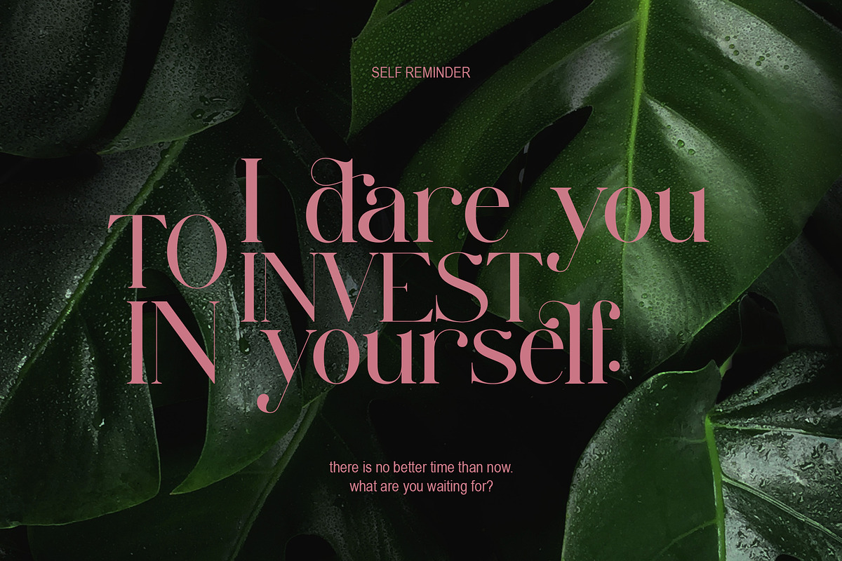 Sabila Modern Ligature Serif, a Serif Font by Alfinart (Photo 8 of 11)