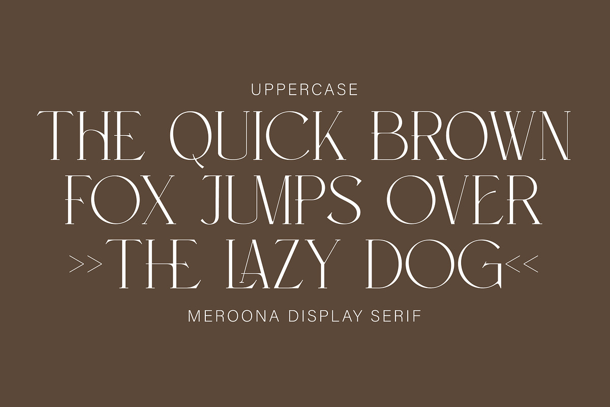 Meroona - Display Serif, a Serif Font by executypeStudio (Photo 2 of 14)
