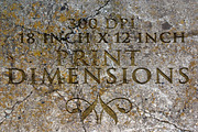 Moss and Stone textures, a Texture Graphic by Cindy Garber Iverson (Thumbnail 4 of 5)