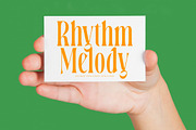 Bastfeng Skylight Modern Serif, a Serif Font by timelesstype.co (Thumbnail 5 of 20)