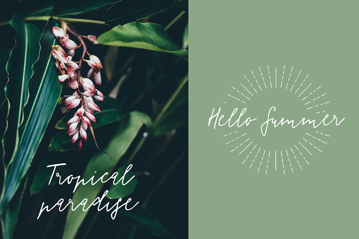Florisa signature script preview 6
