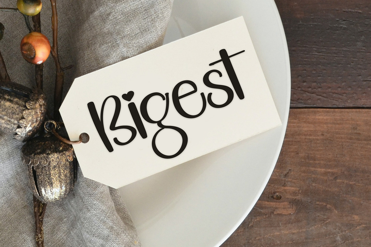 Holiday, a Handwritten Font by FreshTypeINK (Photo 5 of 8)