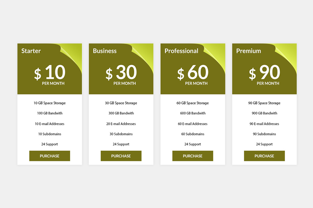 Pricing Table, a Templates & Theme by Youme Techworld (Photo 7 of 8)