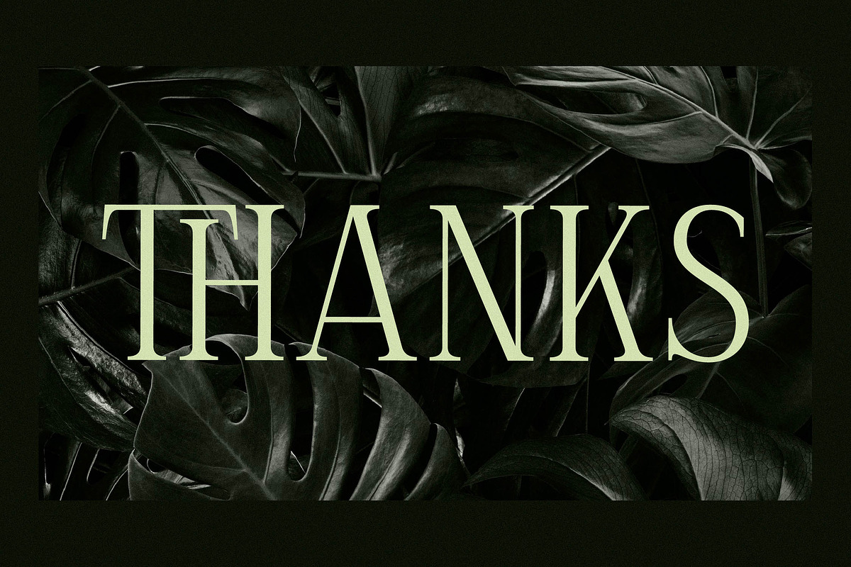 Celliqath Modern Display, a Serif Font by Storytype Studio (Photo 15 of 15)