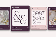 GC Adelite - Stylish Chic Serif, a Serif Font by Glyphonic (Thumbnail 8 of 15)