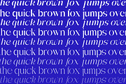 Getina Serif Super Family 243 Fonts, a Serif Font by IM Studio (Thumbnail 8 of 12)