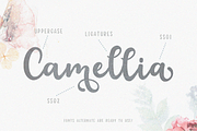 Floristy | Floral Cursive Font, a Script Font by Auratype (Thumbnail 2 of 14)