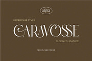 Afgra Modern Serif Typeface, a Font by Dylla_studio (Thumbnail 8 of 10)