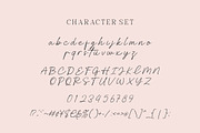 Hilton Fontain | Handwritten Font, a Handwritten Font by Burhan Afif (Thumbnail 8 of 10)