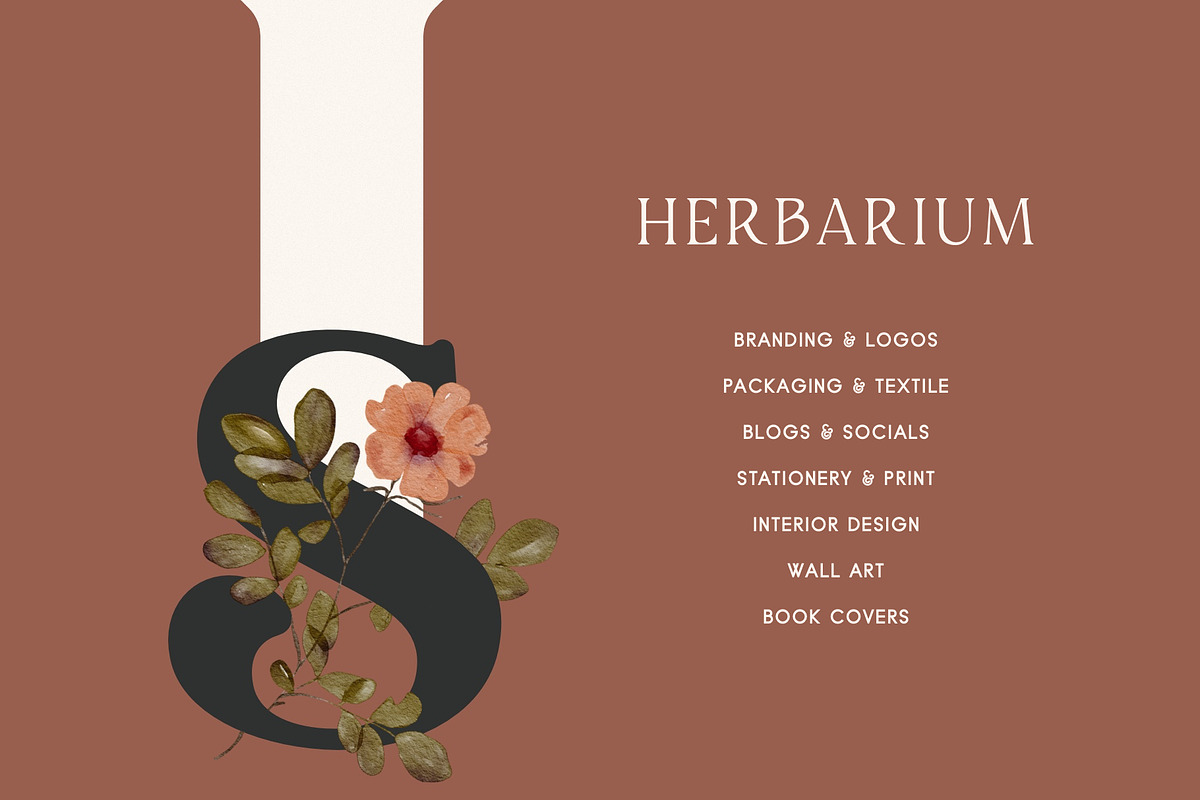 Herbarium: Pressed Dry Flowers vol.1, a Decorative Illustration by AnaPierceArt (Photo 6 of 12)