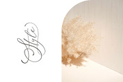Little Love - for Templett & Corjl, a Script Font by Blessed Print (Thumbnail 6 of 25)