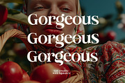 Refined Society - Vintage Typeface, a Serif Font by HipFonts (Thumbnail 12 of 14)