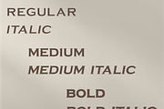 Sanir Retro Serif Font, a Serif Font by Creative Foundry (Thumbnail 2 of 8)