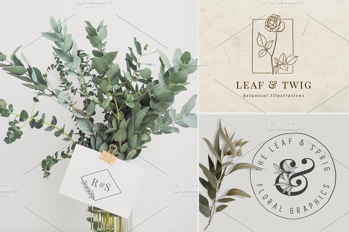 Botanical Illustrations & Logo Kit, an Illustration by BirDIY Design (Photo 7 of 10)