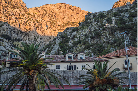 Colorful street in Old town of Kotor, an Architecture Photo by Elizaveta Galitskaya