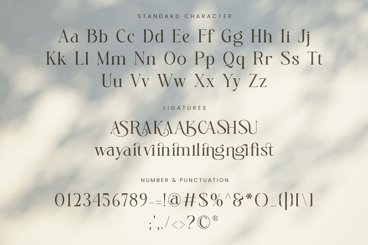 Rading-modern elegant serif, a Serif Font by ToniStudio (Photo 7 of 10)
