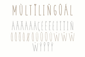 Coyote A Playful Font