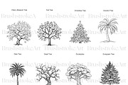 Tree Silhouette Clipart, Bonsai Tree, an Illustration by BrushstrokeArtGB (Thumbnail 7 of 10)