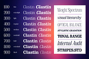 Clastin Variable, a Slab Serif Font by Stripes Studio (Thumbnail 4 of 15)