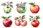 Watercolor Apples Floral Clipart, an Illustration by Designworld (Thumbnail 2 of 6)