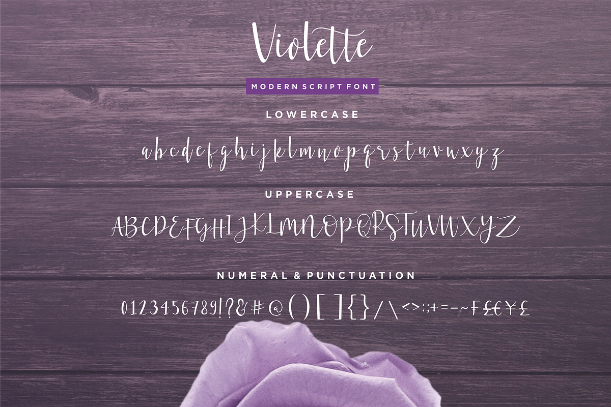 Violette Script Font, a Script Font by Sronstudio (Photo 9 of 13)