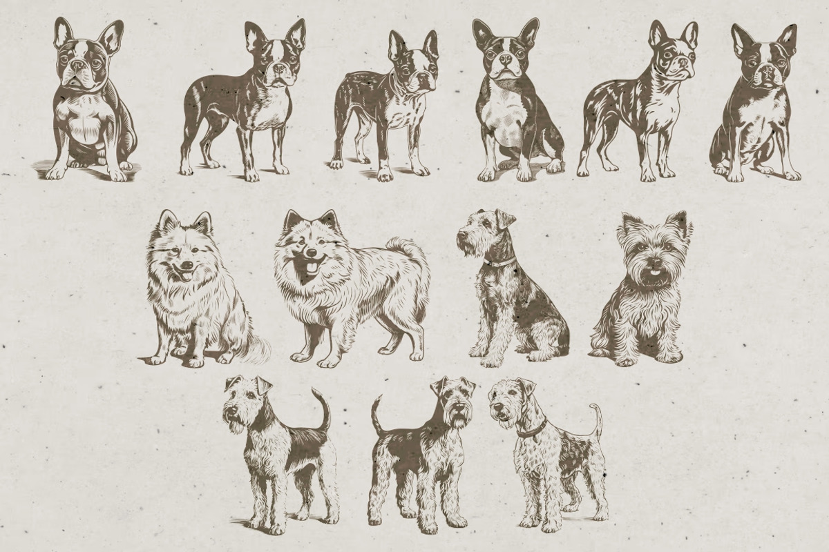 215 Dog Illustrations, an Animal Illustration by Nocturnal Wolf (Photo 3 of 14)