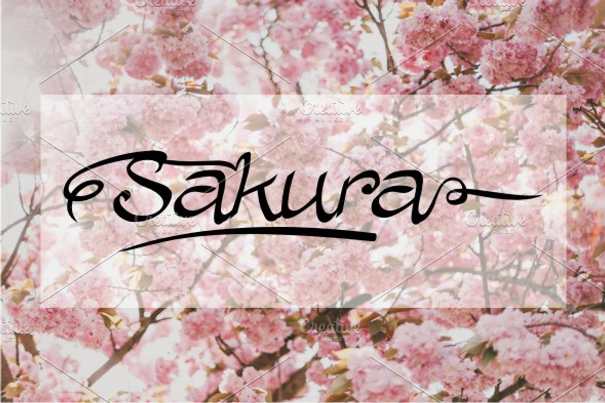 ALLURA preview 3
