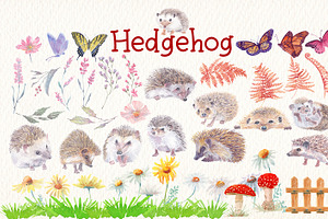 Hedgehog Watercolor Clipart