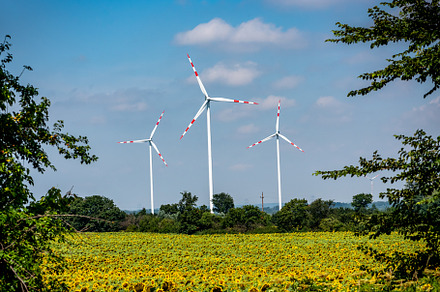 Wind turbines and sunflower field, a Nature Photo by Millenn Photography