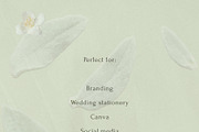 Petals Botanical Overlay Kit & Paper, an Object Graphic by Allure Art (Thumbnail 22 of 22)