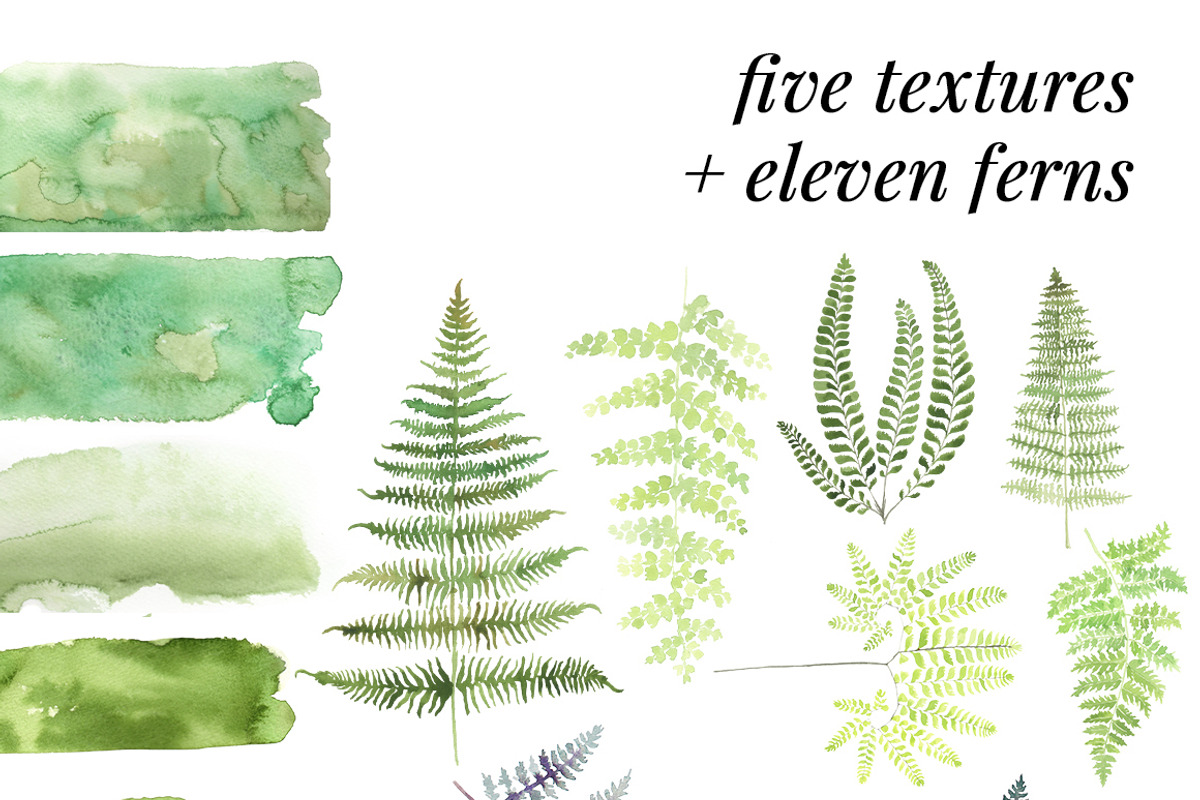 Watercolor Ferns Mini Kit, a Texture Illustration by Instinct Design Co (Photo 2 of 2)