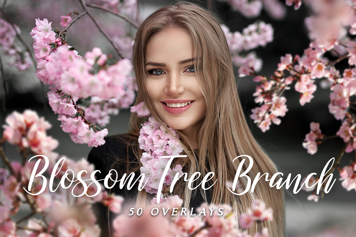 Blossom Tree Branch Overlays, an Object Graphic by DreamyOverlay (Photo 1 of 6)