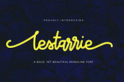 Lestarrie Monoline Font, a Script Font by Typoerba (Thumbnail 1 of 8)
