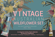 VINTAGE AUSTRALIAN WILDFLOWER SET, an Illustration by Sketchbook Designs (Thumbnail 1 of 12)