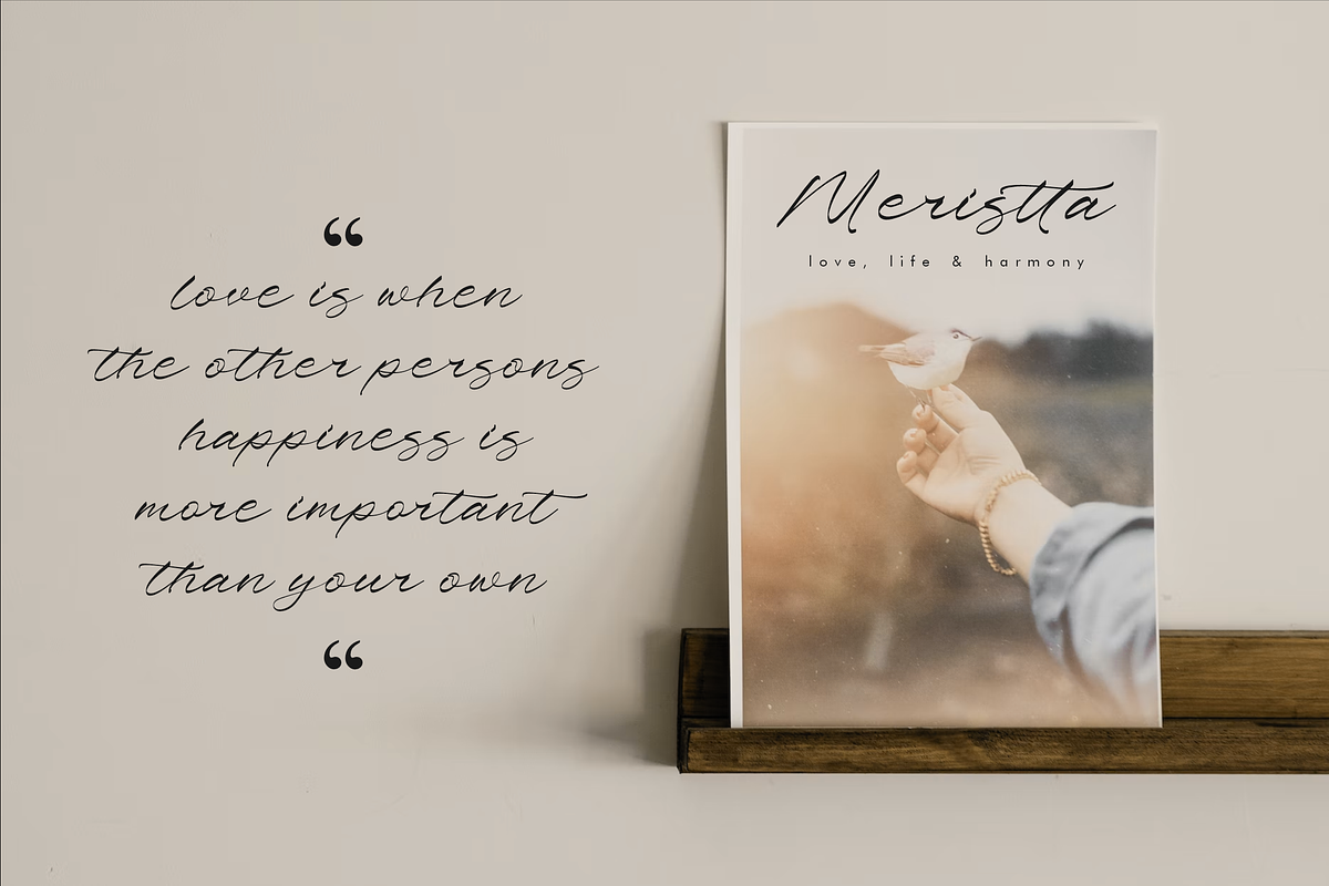 Pharellia Redusha A Modern Script, a Script Font by Storytype Studio (Photo 4 of 15)