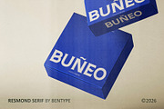 Resmond Serif - Vintage Serif Font, a Serif Font by Bentype Studio (Thumbnail 4 of 7)