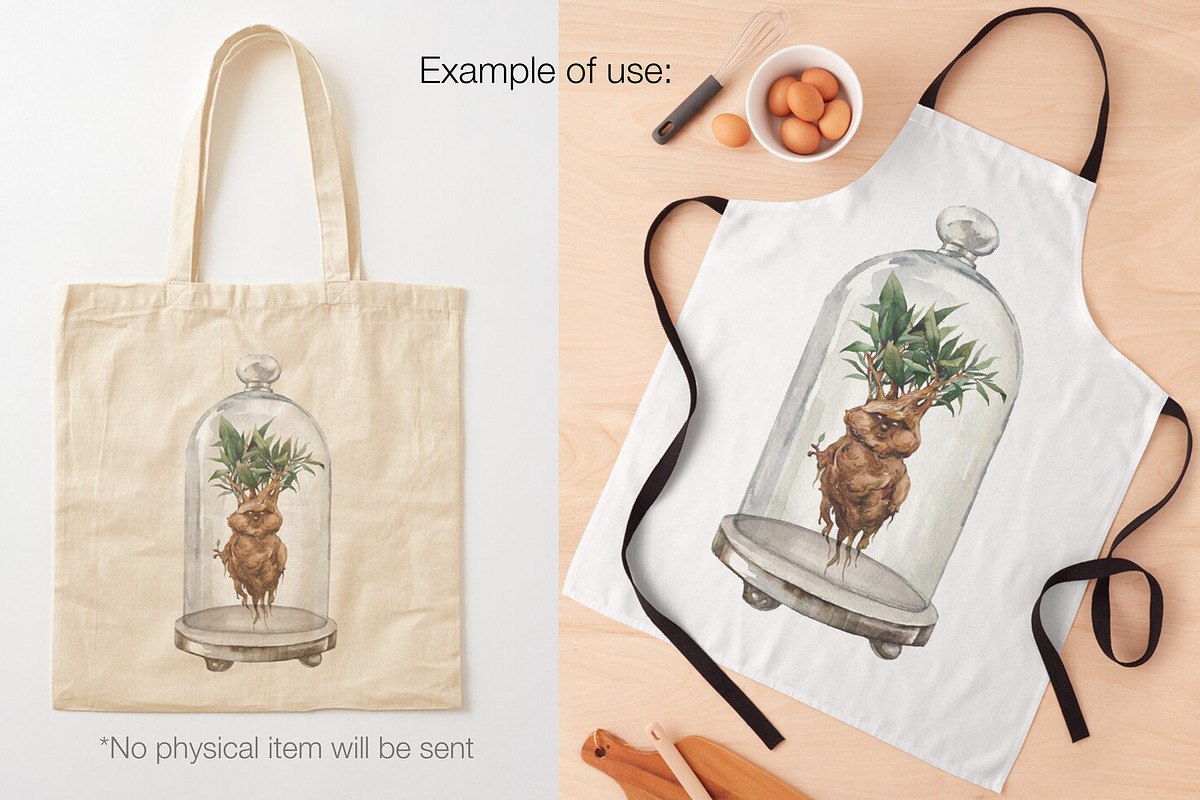 Magic Mandrake, an Illustration by Eisfrei (Photo 5 of 8)