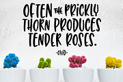 Succulent: a hand-lettered font, a Font by Missy Meyer (Thumbnail 7 of 8)