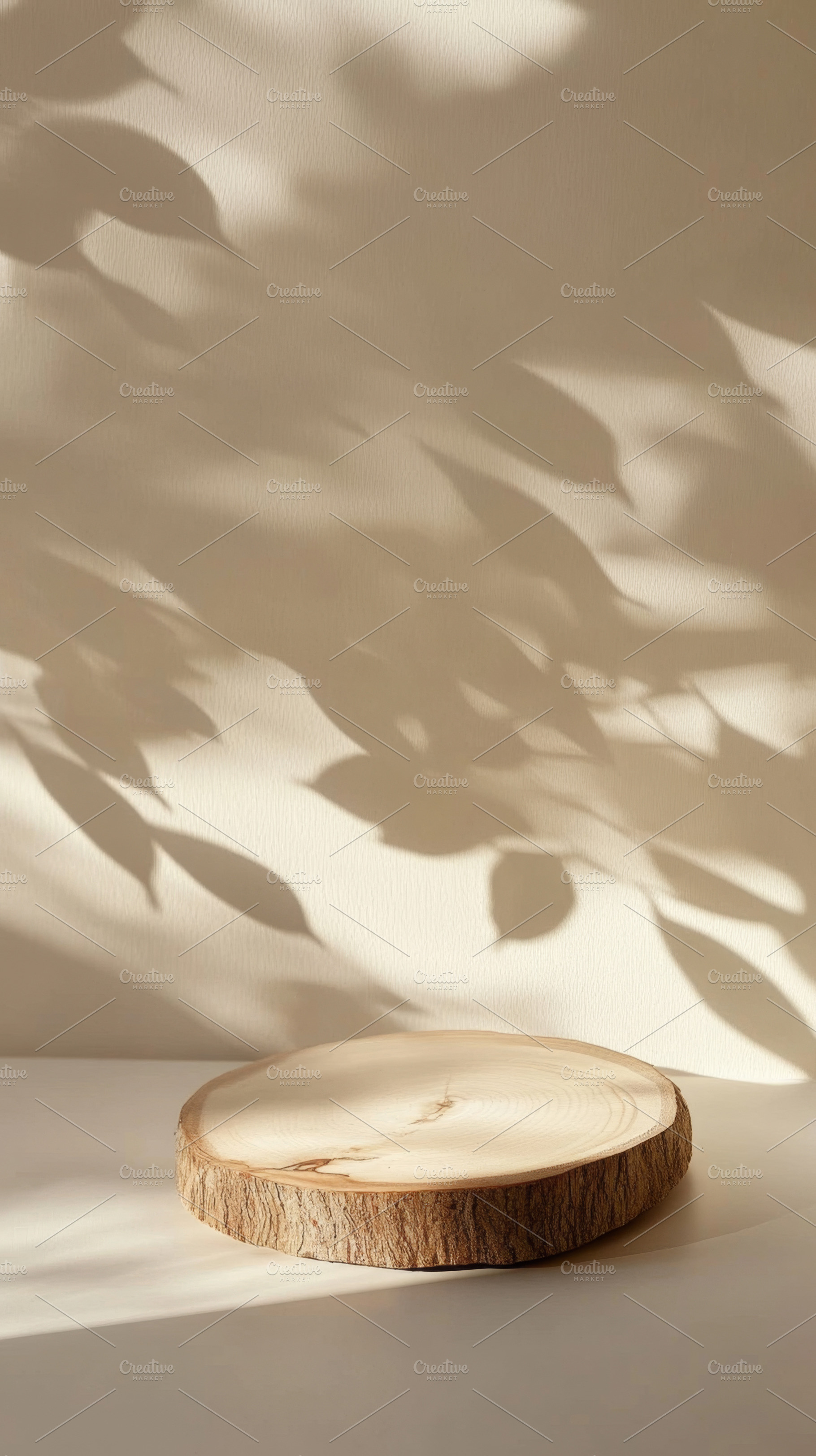 Minimalist Wooden Slice with Dried Twig in Soft Natural Light, an Abstract Photo by Natalia Klenova's Shop